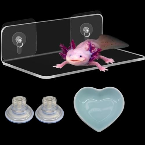 Hamac pour Axolotl d’Aquarium, Hamac pour Axolotl avec Plateau d’Alimentation en Céramique, Accessoires pour Aquarium d’Axolotl, Accessoires pour Terrarium de Dragon Barbu (Blue, 7.8x3.9inch)