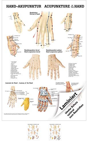Sport-Tec Hand-Akupunktur Mini-Poster Anatomie 34x24 cm medizinische Lehrmittel