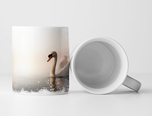Eau Zone Fotokunst Tasse Geschenk Tierfotografie – Schwimmender weißer Schwan bei Sonnenaufgang
