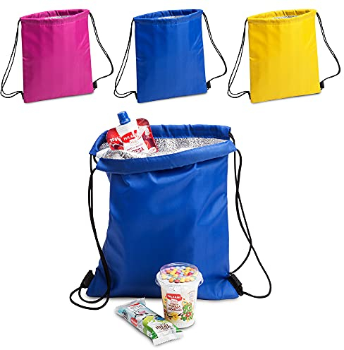 ANTEVIA - Lot de 3 sacs isotherme 27 x 33cm | PLUS DE 10 MODÈLES | Glacière | Matière: Polyester 210D |Couleur : Violet Bleu Jaune (Tradan)
