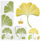 MAYJOYDIY 4 Stück Große Ginkgo-Blatt-Schablonen, 30 x 30 cm, Spleiß-Stil, Herbstblatt-Malvorlagen mit Pinsel, botanische Blätter, Wiederverwendbare Schablonen, Wandkunst, Heimdekoration