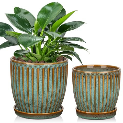 Oairse Juego de 2 macetas de cerámica acanaladas, macetas con posavasos de drenaje para plantas de interior, decoración retro para juegos de jardinería al aire libre, diámetro de apertura 15 cm/13 cm,