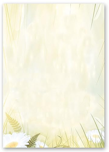 Motif Paper – Stationary Paper Daisies 20 Sheets DIN A4