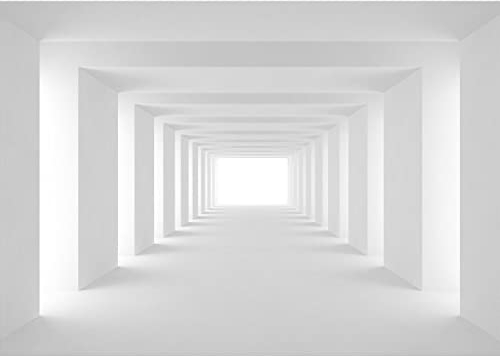 Runa Art Fototapete 3D Effekt 352 x 250 cm Vlies Tapeten XXL Moderne Wandtapete Wohnzimmer Schlafzimmer Grau 9404011c