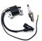 Bobine d'allumage avec bougie d'allumage pour moteur Honda GXV 160 GXV160 GXV 140 HRA 216 HR 216 Moteur 30500-Z1V-003