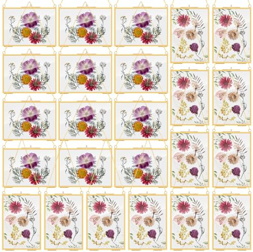 Barydat 12 Pcs Pressed Flower Frame Floating Glass Frames, 5x7, Gold