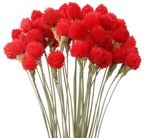 MIHUAGE Globo seco de flor de amaranto con paja de trigo, ramo de 40 piezas para florero, decoración del hogar, fiesta, arreglo de bricolaje (rojo brillante)