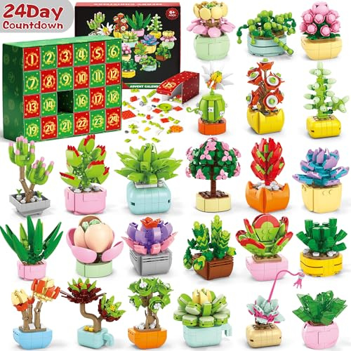 Adventskalender 2025 mit Buiding Block Succulent