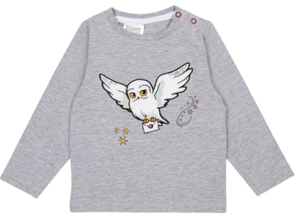 Blade & Rose x Harry Potter™ Hedwig Long-Sleeved Top – Official Licensed Kids Top, All-Over Owl Design, Soft Brushed Cotton, Grey/White, Sizes 0-6 Months to 5-6 Years