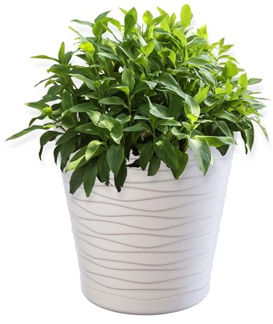 KADAX Blumentopf mit Untersetzer, Pflanzkübel für Innen, Leichter Blumenkübel, Pflanztopf aus Kunststoff, runder Übertopf für Blumen, Pflanzen, Haus, Pflanzgefäß (13cm, Creme)