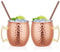 Hossejoy Moscow Mule Copper Mugs, Set of 2, 100% Handcrafted Pure Solid Copper, 18.65 oz, Food Safe, Cocktail Cups with 2 Straws