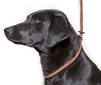 Dog & Field Deluxe Gundog Slip Lead - Brown. Super Soft Braided Nylon Slip Lead For Dogs With Rubber Stopper, Easy To Slip On, No Collar Or Harness Needed.