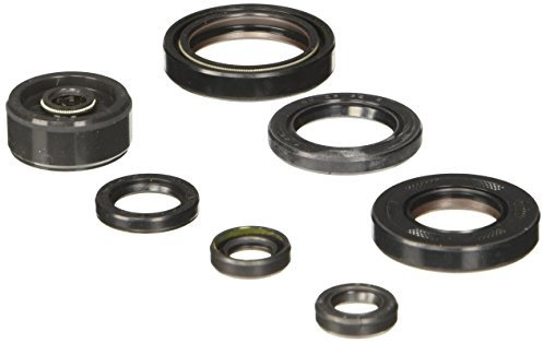 Athena P400485400125 Wellendichtringsatz Motor