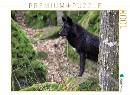CALVENDO Puzzle Wolf - Timberwolf | 1000 Teile Lege-Größe 64 x 48 cm Foto-Puzzle für glückliche Stunden