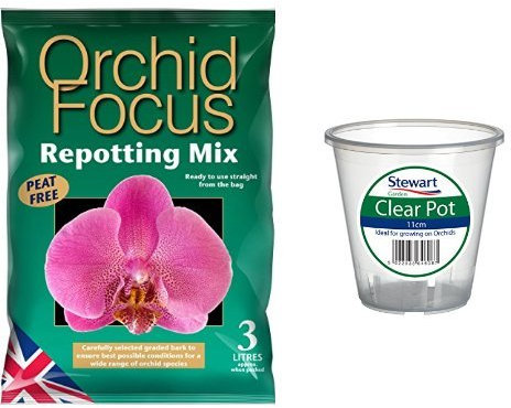 Orchid Focus Repotting Mix 3 Litre & Stewart 2646008 11 cm Clear Pot - Clear Set