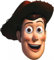 Star Cutouts - Stsm50 - Masque pour Adulte Woody - Toy Story