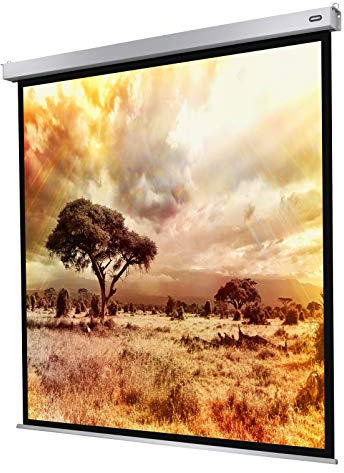 celexon Pro Plus Écran de Projection motorisé 165 | 300x300 cm 1:1 | Écran motorisé 4K, Full-HD pour Votre vidéoprojecteur Home Cinéma | pour Montage au Plafond/au Mur | avec télécommande