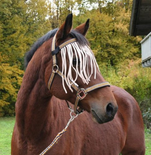 Kerbl Ausbindehaken, 2 St. Im Pack