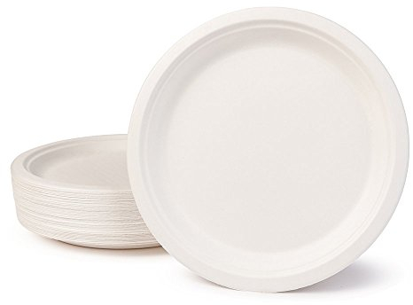BIOZOYG Set da Tavola ecologiche bagassa usa e getta I 500 pezzi Piatto di canna da zucchero bianco sbiancato rotonda 26 cm I Set da Tavola monouso