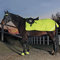 REFLEX Nierendecke, Fleece