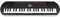 Casio SA-81 44 Key Mini Keyboard