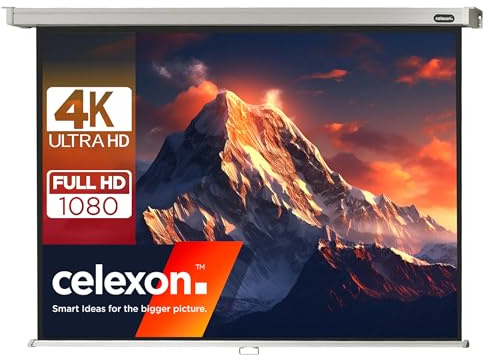 celexon Professional Rollo-Leinwand 115 | 240x180 cm 4:3 | manuell ausziehbare 4K, Full-HD Beamer-Leinwand für das Büro & Heimkino-Projektionen | Wand- & Deckenmontage/ zum Aufhängen