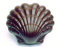 Moule à coquille saint-jacques La Brunoise. 2 empreintes pour 1 coquille. Blanc.