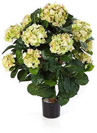 artplants.de Kunst Hortensie Haruka, 540 Blüten, Creme - grün, Deluxe, 60cm - Hortensie künstlich - Kunst Blume