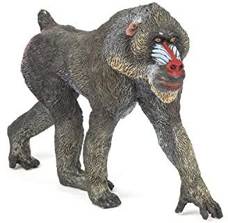 Papo - Realistische Mandrill-Figur - 3 Jahre + - Kollektion Wilde Tiere - Lernspiel Wilde Primaten - Geschenkidee Spielzeug für Mädchen und Jungen