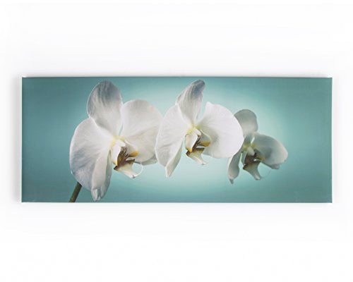 Art For The Home Orchid Canvas Wall Art, Teal, Size: Height 40cm x Width: 100cm