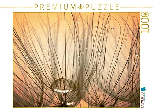 CALVENDO Puzzle Labyrinth - Tropfen in den Fallschirmsamen | 1000 Teile Lege-Größe 64 x 48 cm Foto-Puzzle für glückliche Stunden