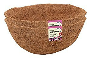 Co-Co Liner 30cm Twin Pack