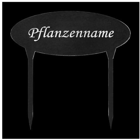 Bütic GmbH Acrylglas Pflanzschilder Oval XXL farblos + Wunschname, Beetschilder, Kräuterschilder, Gartenstecker, Pflanzenstecker, wetterfest, Pflanzenname:Clematis