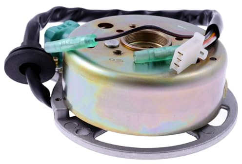 Lichtmaschine & Polrad für Yamaha Aerox & MBK Nitro bis 2003