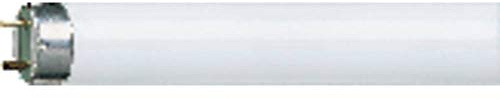 Osram LUMILUX T8 - Lámpara fluorescente, G13L 18 W/865