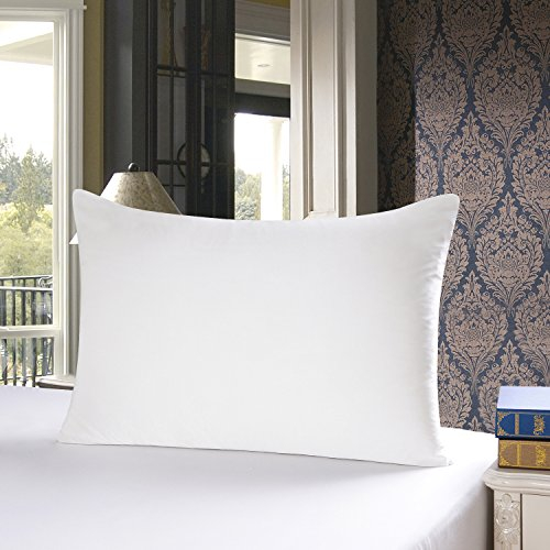 Townssilk 19 Momme 100% Seide Kissenbezug 1 Stück 50x90cm Naturalwhite