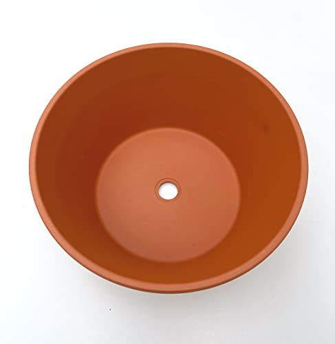 Spang Classic Terracotta Half Pots - 26cm W x 13cm H (HF26) (One Pot)