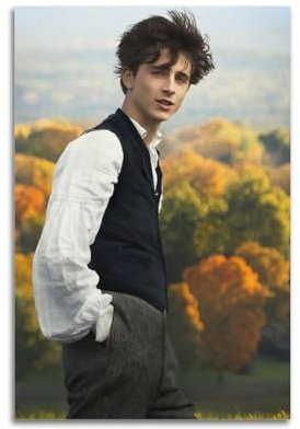 klouds Timothée Poster, Chalamet, dekoratives Gemälde, Leinwand, Schlafzimmer, Kunst, Wohnzimmerdekoration, modernes ästhetisches Poster, 50 x 75 cm, ungerahmter Stil