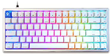 Glacier Arctic 75% Wired USB-C Mechanical Keyboard Hot Swap with Aluminum Frame and ABS Keycaps (White)