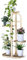 Blumenständer Blumenregal Blumenbank Schmiedeeisen Blumenregal Metall Pflanzenständer Blumentablett Balkon Blumenständer Indoor Outdoor Pflanzenständer Blumentreppe Pflanzenregal ( Color : Gold , Size