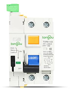 Interruttore In Miniatura Dc RCCB RCD 6KA AC 2P 230V Tipo Automatico Dispositivo di Richiusura Differenziale Interruttore 63A 30mA 100mA 300mA Smart Breaker Interruttore Magnetotermico(2Pole 100mA,50A