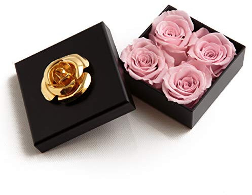 ROSEMARIE SCHULZ Heidelberg Kleine Infinity Rosen haltbar 3 Jahre in Box Rose konserviert (Rosa, 4 Röschen)