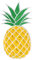 PatchMommy Ananas Patch Obst Aufnäher Applikation zum Aufbügeln Bügelbild - für Kleidung Jeans Jacken Kinder Baby