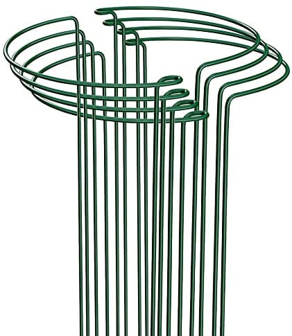 8 Pack 25×40cm Plant Support Stakes, Metal Garden Plant Stakes, Half Round Plant Support Ring Cage for Peonies Monstera Hydrangeas Roses Sedum Vegetables Tomatoes
