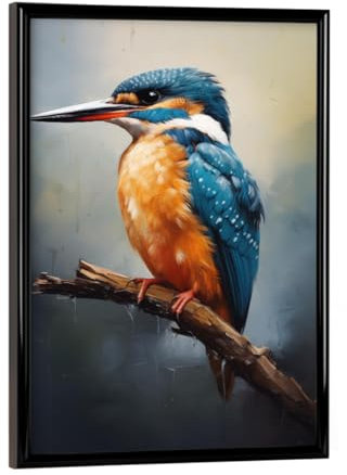 artboxONE Poster mit schwarzem Rahmen 18x13 cm Natur Eisvogel-Porträt - Bild Tier Farbe gemälde