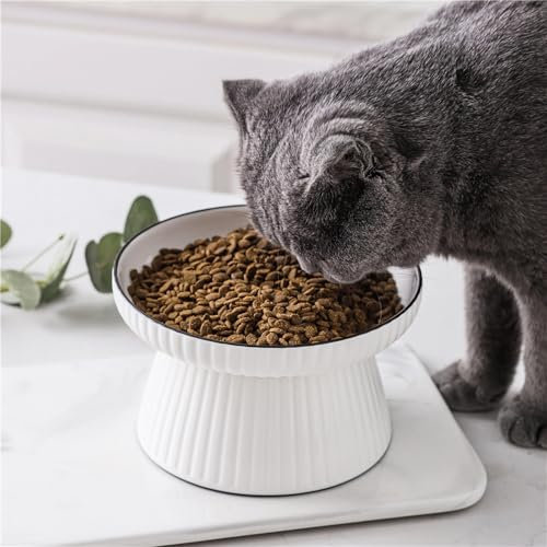 Raised Cat Bowl,Elevated Cat Food Bowl, Cat Water Bowl,Ceramic Cat Bowls for Food and Water, Raised Cat Food Dish,Whisker Fatigue,Wide Shallow Design for Pet Easy Eating (Fishbone)