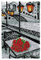ROCKY&CHAO Knüpfhaken-Teppich-Set DIY-Knüpfhaken Teppichherstellungs-Set für Erwachsene Kinder Kreuzstich-Set Teppichherstellung Heimdekoration 60 x 40 cm （Friedenstaube）