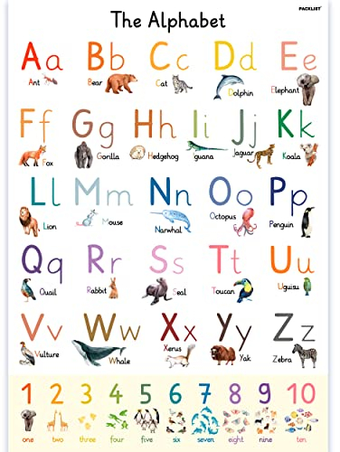 PACKLIST® English Alphabet Poster for Kids - Large Letter and Fun Animal Alphabet Poster for Easy Learning - Perfect for Decorating Children's Rooms and Classrooms