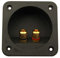 Jopto Terminale per altoparlante a 2 vie, fai da te, per casa e auto, connettore quadrato a molla, per componenti acustici, subwoofer, pannello posteriore universale, colore: nero