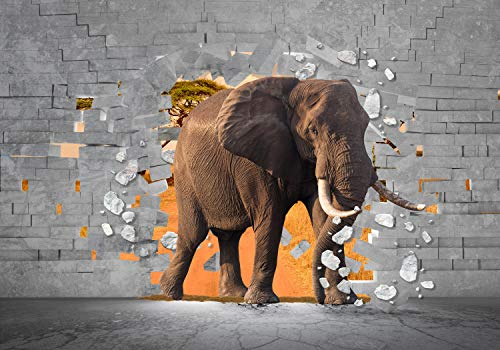wandmotiv24 Fototapete 3D Optik Elefant Wanddurchbruch, XL 350 x 245 cm - 7 Teile, Wanddeko, Wandbild, Wandtapete, Steine Afrika Tier Steinwand M6617